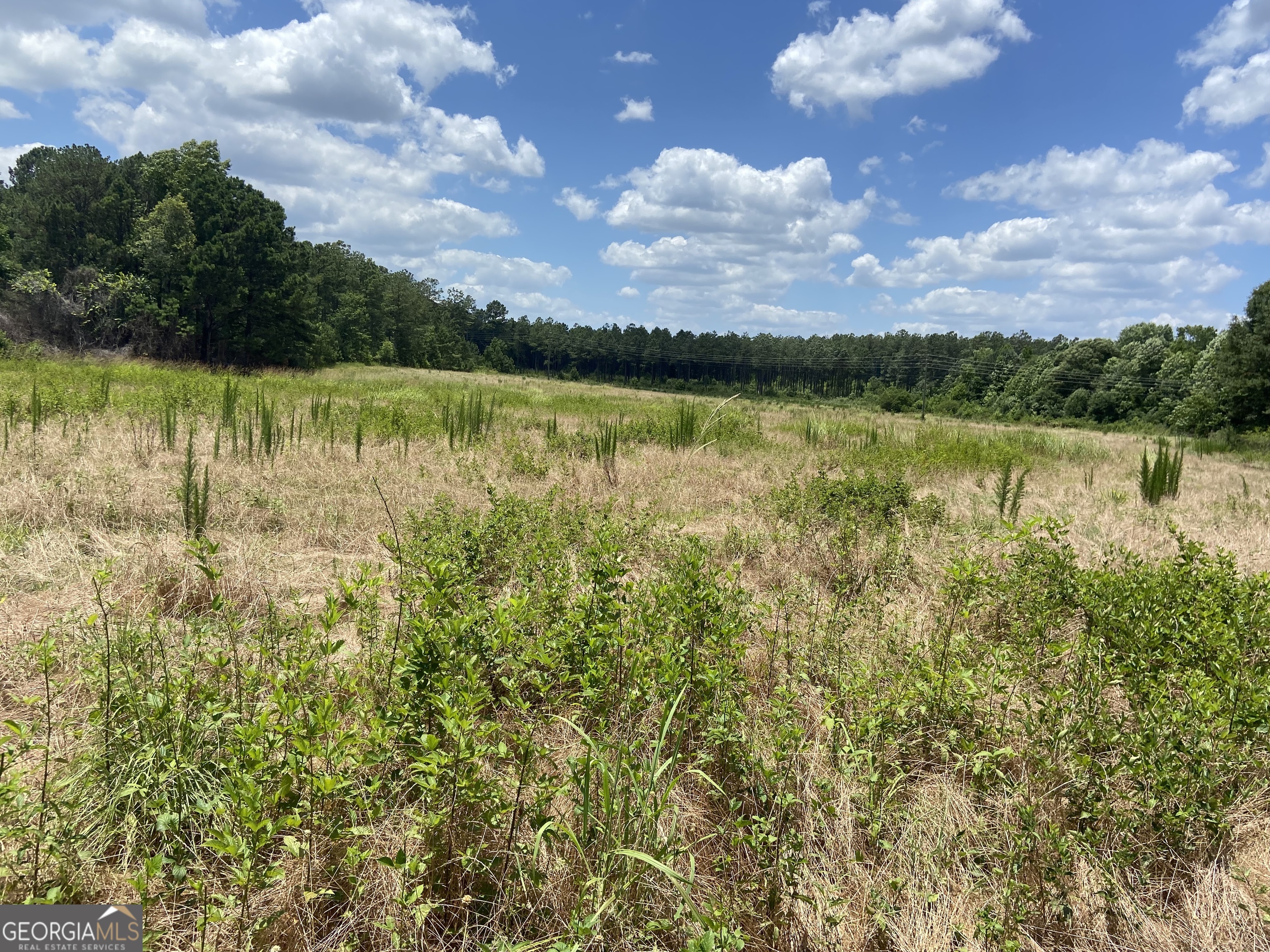 3330 West McIntosh Road Griffin, GA 30223 - Photo 1 of 1 a view of lake with houses in the back