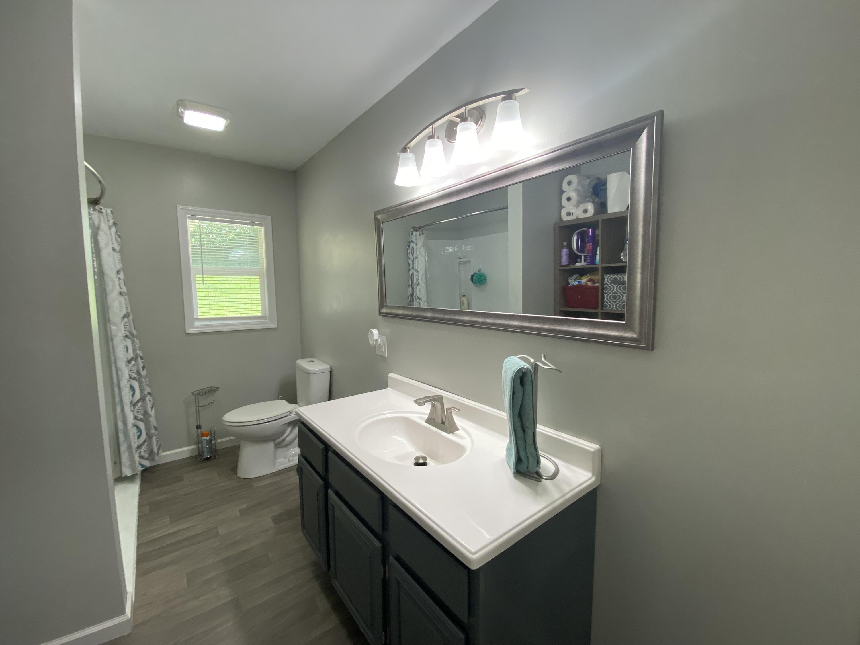 1701 Siam Road Elizabethton, TN 37643 - Photo 17 of 23 17 - Family Bath 2