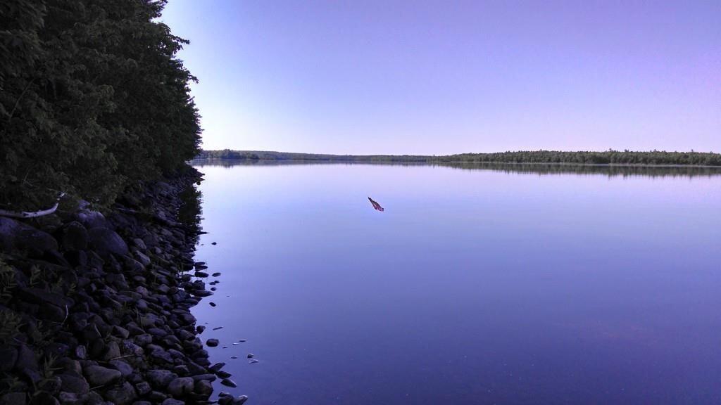 2.63 Lakeside Road Island Falls, ME 04747 - Photo 3 of 7 20180816180839831268000000-o