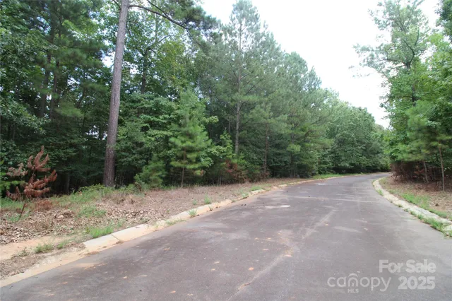 a view of a road with trees in the background