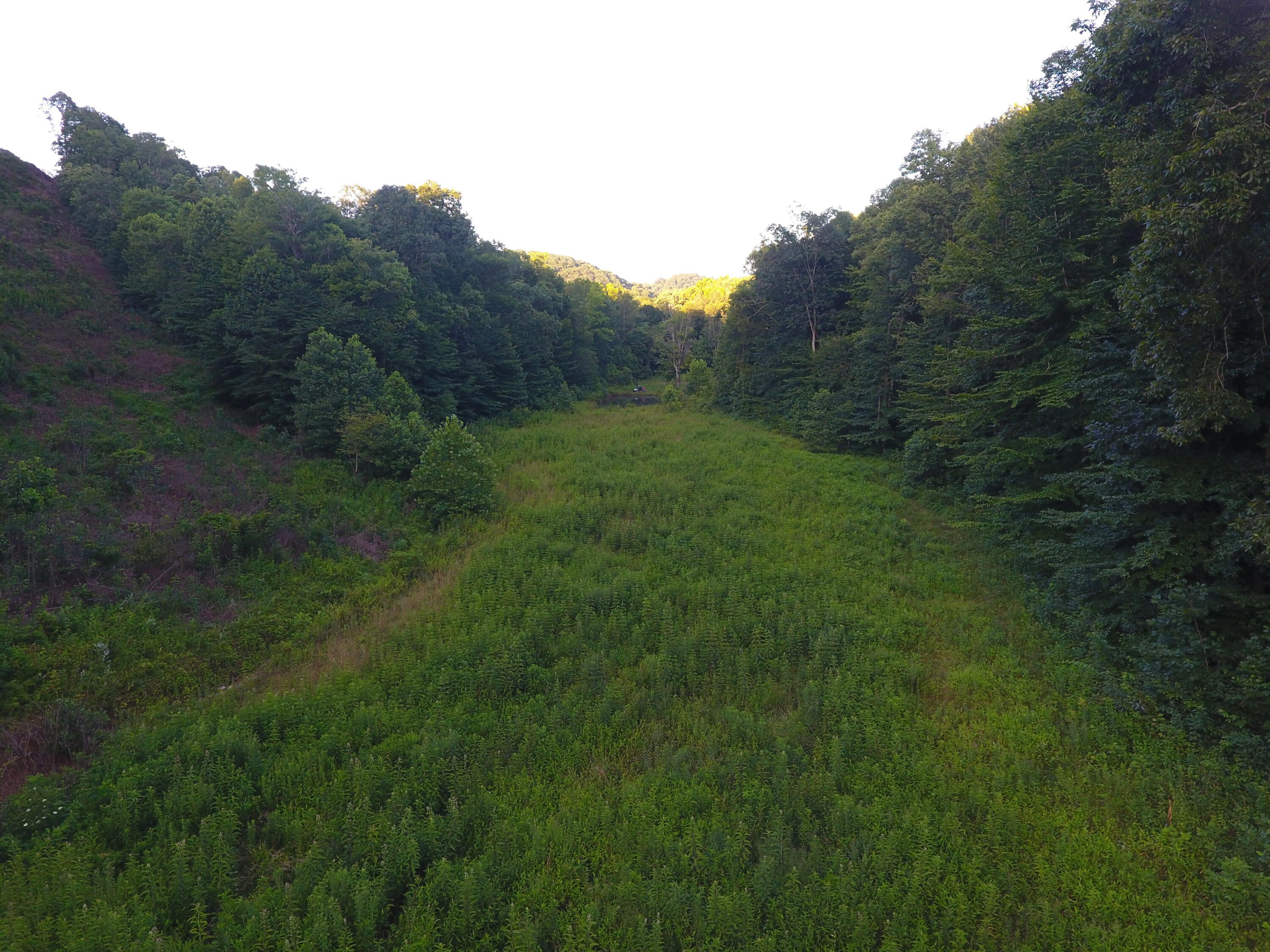 0 Spring Road Wallingford, KY 41093 - Photo 27 of 48 DJI_0436_270