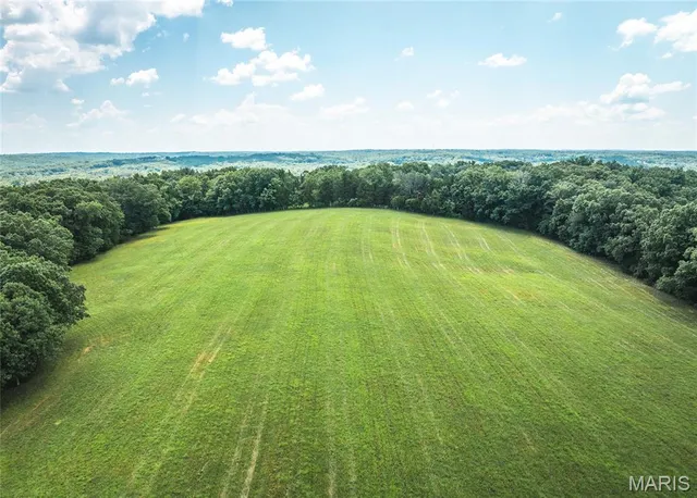 $1,250,000 | 5300 Scanlon Drive, De Soto, MO 63020