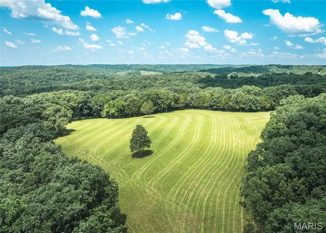 $1,250,000 | 5300 Scanlon Drive, De Soto, MO 63020