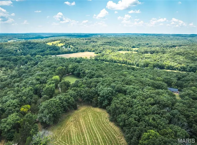 $1,250,000 | 5300 Scanlon Drive, De Soto, MO 63020