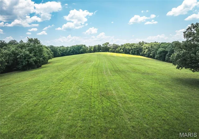 $1,250,000 | 5300 Scanlon Drive, De Soto, MO 63020