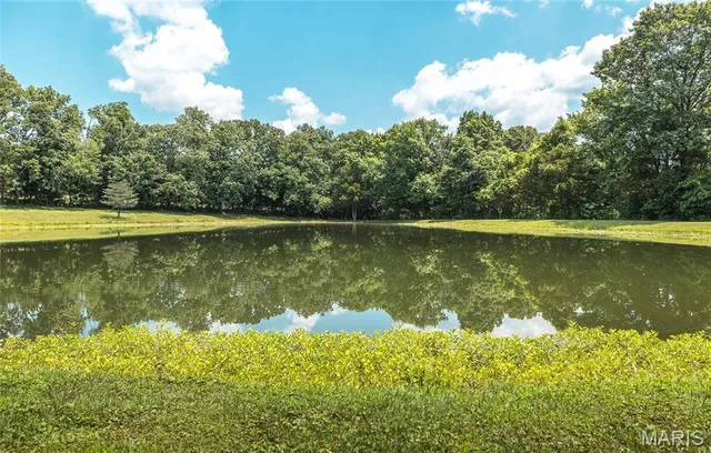 $1,250,000 | 5300 Scanlon Drive, De Soto, MO 63020