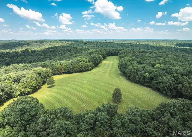 $1,250,000 | 5300 Scanlon Drive, De Soto, MO 63020