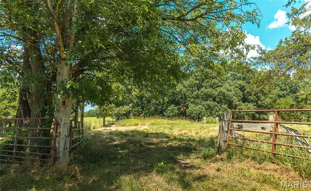 $1,250,000 | 5300 Scanlon Drive, De Soto, MO 63020