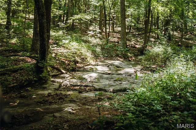 $1,250,000 | 5300 Scanlon Drive, De Soto, MO 63020