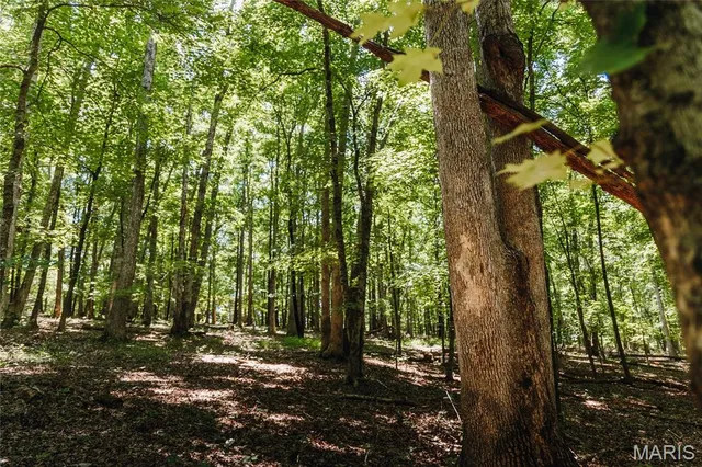 $1,250,000 | 5300 Scanlon Drive, De Soto, MO 63020