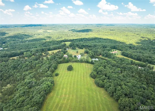 $1,250,000 | 5300 Scanlon Drive, De Soto, MO 63020