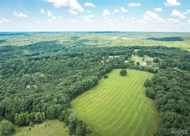 $1,250,000 | 5300 Scanlon Drive, De Soto, MO 63020