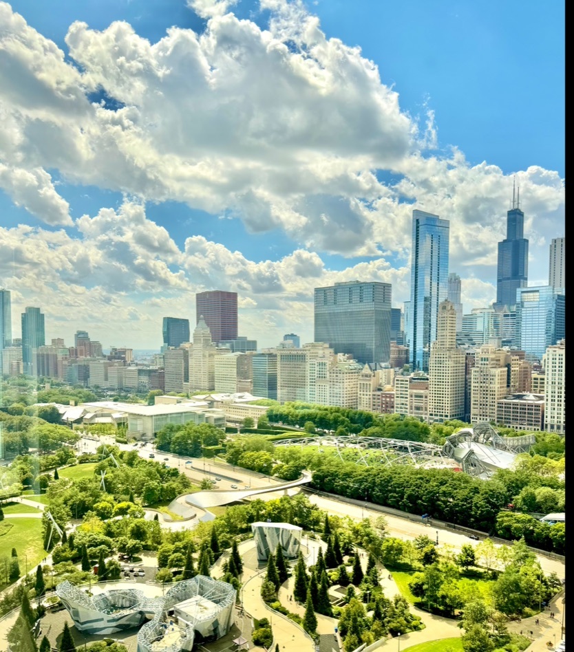 60 East Monroe Street, Unit 5601 Chicago, IL 60603 - Photo 2 of 50 a view of a city