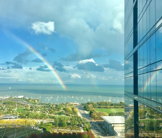 60 East Monroe Street, Unit 5601 Chicago, IL 60603 - Photo 31 of 50 a view of a lake