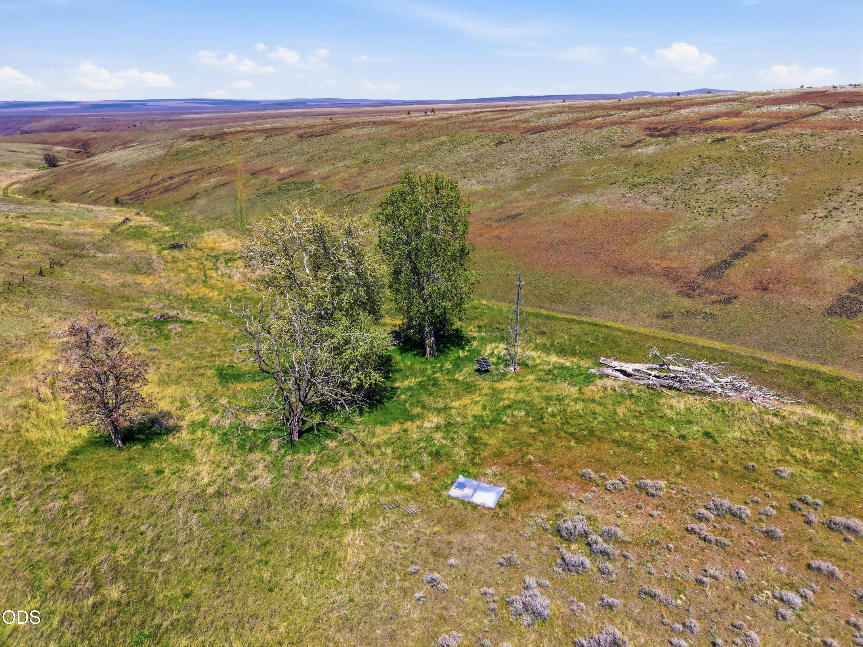 0 Badger Canyon Road Condon, OR 97823 - Photo 5 of 13 a view of an ocean from a yard