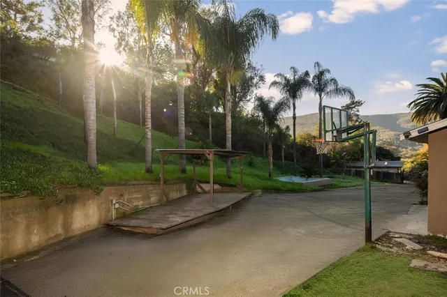 a view of a garden with palm tree