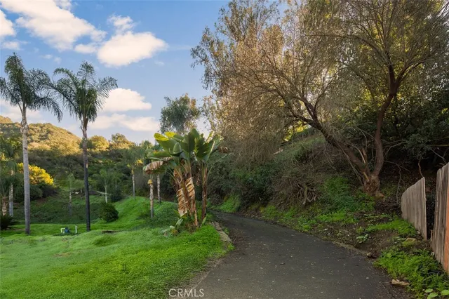 a view of a tree with a yard