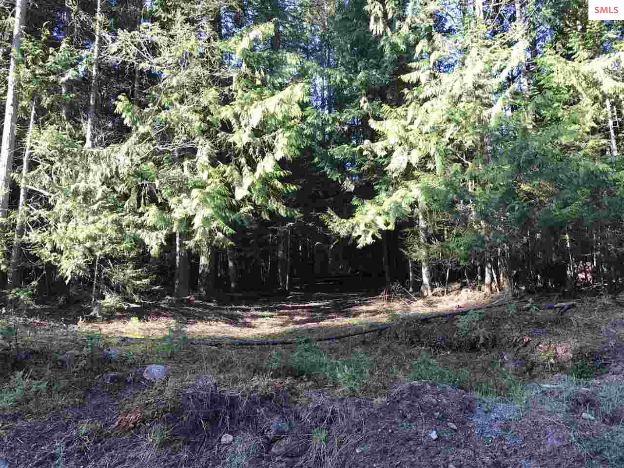 Nka Nka Talache Road Sagle, ID 83860 - Photo 10 of 10