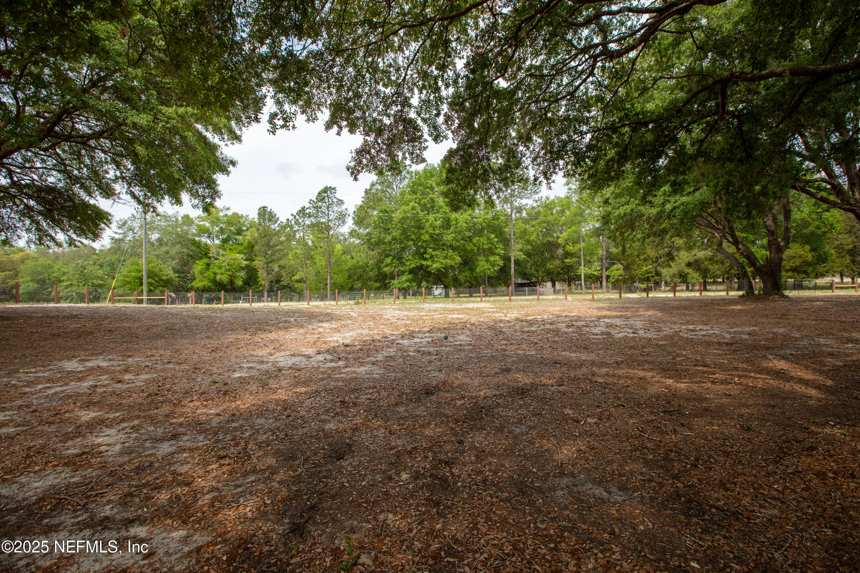 1846 Bellamy Road Florahome, FL 32140 - Photo 23 of 69 1846BellamyRd-32