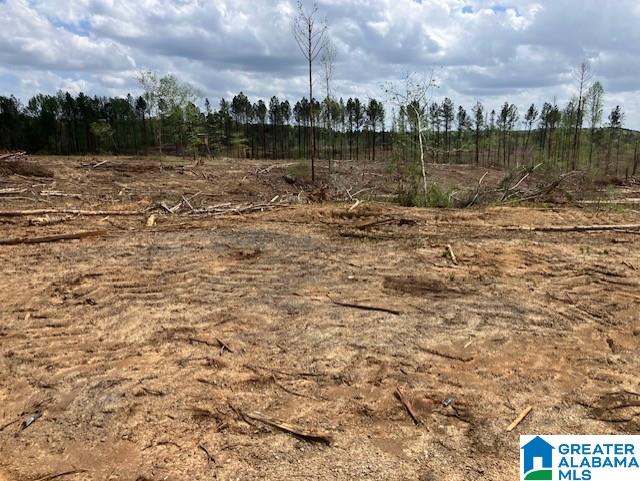 11482 Camp Oliver Road Adger, AL 35006 - Photo 43 of 48