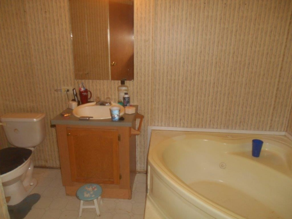 22701 North County Line Road Newaygo, MI 49337 - Photo 11 of 20 master bath lg