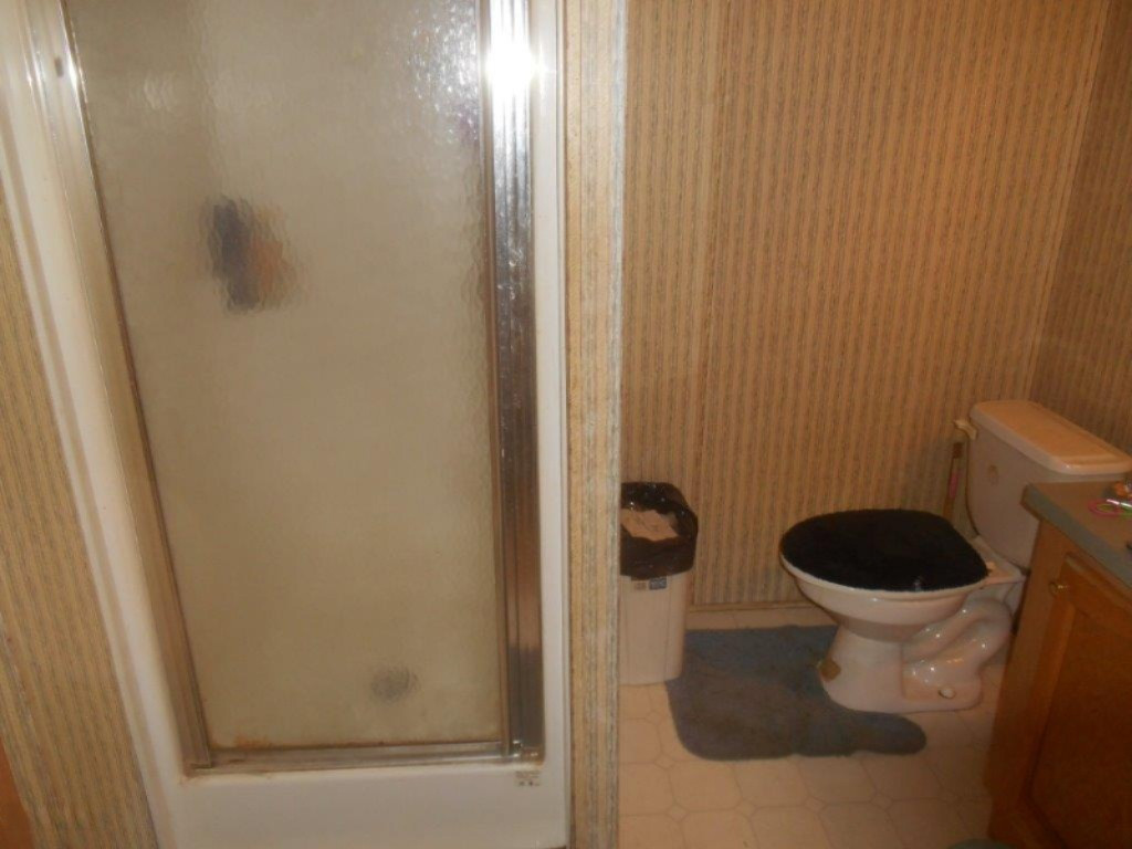 22701 North County Line Road Newaygo, MI 49337 - Photo 12 of 20 master bath 2 lg