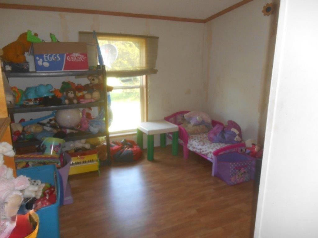 22701 North County Line Road Newaygo, MI 49337 - Photo 14 of 20 front bedrm lg