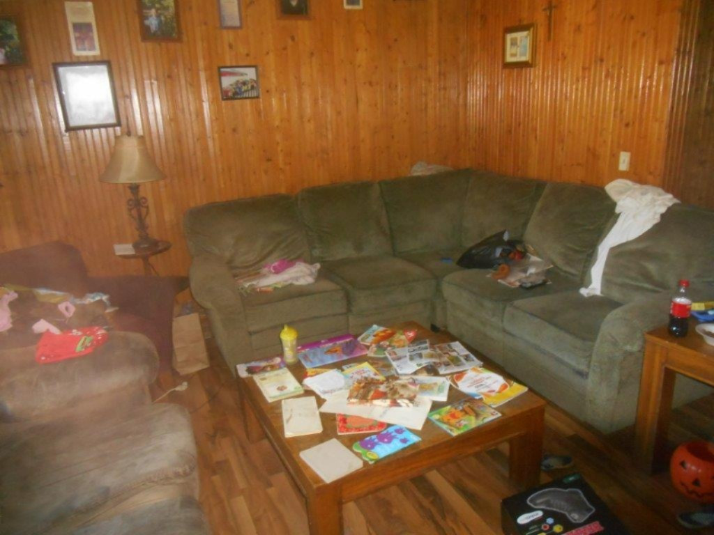 22701 North County Line Road Newaygo, MI 49337 - Photo 5 of 20 lr lg