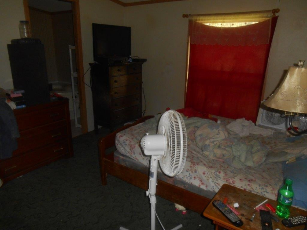 22701 North County Line Road Newaygo, MI 49337 - Photo 10 of 20 master bdrm lg