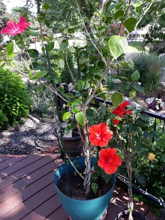 $524,900 | 5502 Regis Trail Northeast, Fridley, MN 55432