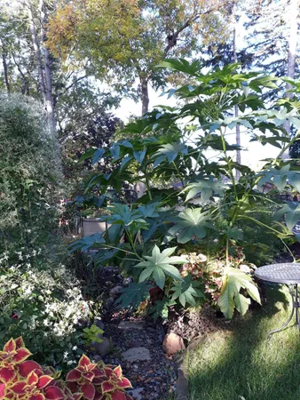 $524,900 | 5502 Regis Trail Northeast, Fridley, MN 55432