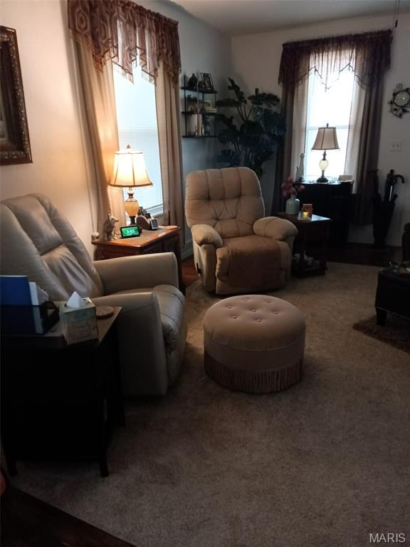 1202 Spring Street Poplar Bluff, MO 63901 - Photo 4 of 14