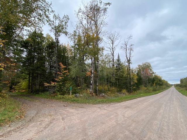 13 East 13 Mile Road Dafter, MI 49724 - Photo 1 of 2 Gallery Image 1