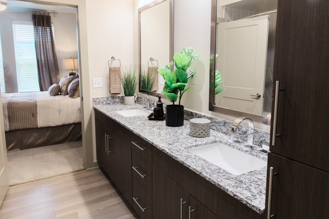 690 East Algonquin Road, Unit 1413 Schaumburg, IL 60173 - Photo 12 of 29 a bathroom with a double vanity sink and a mirror