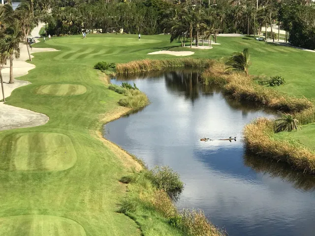 a view of a lake with a yard