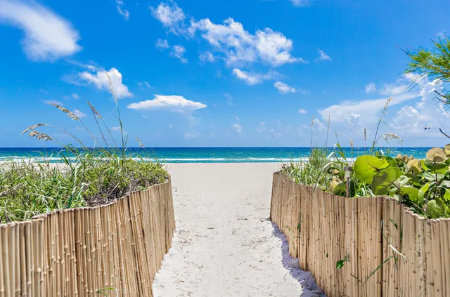 a view of beach and ocean