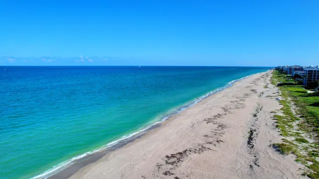 a view of a building with a yard and plants