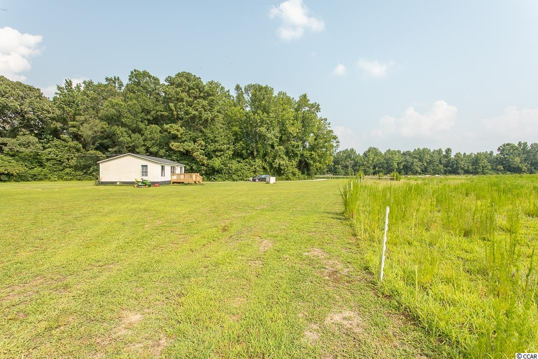 5566 Long Branch Swamp Road Nichols, SC 29581 - Photo 6 of 28 Gallery Image 6