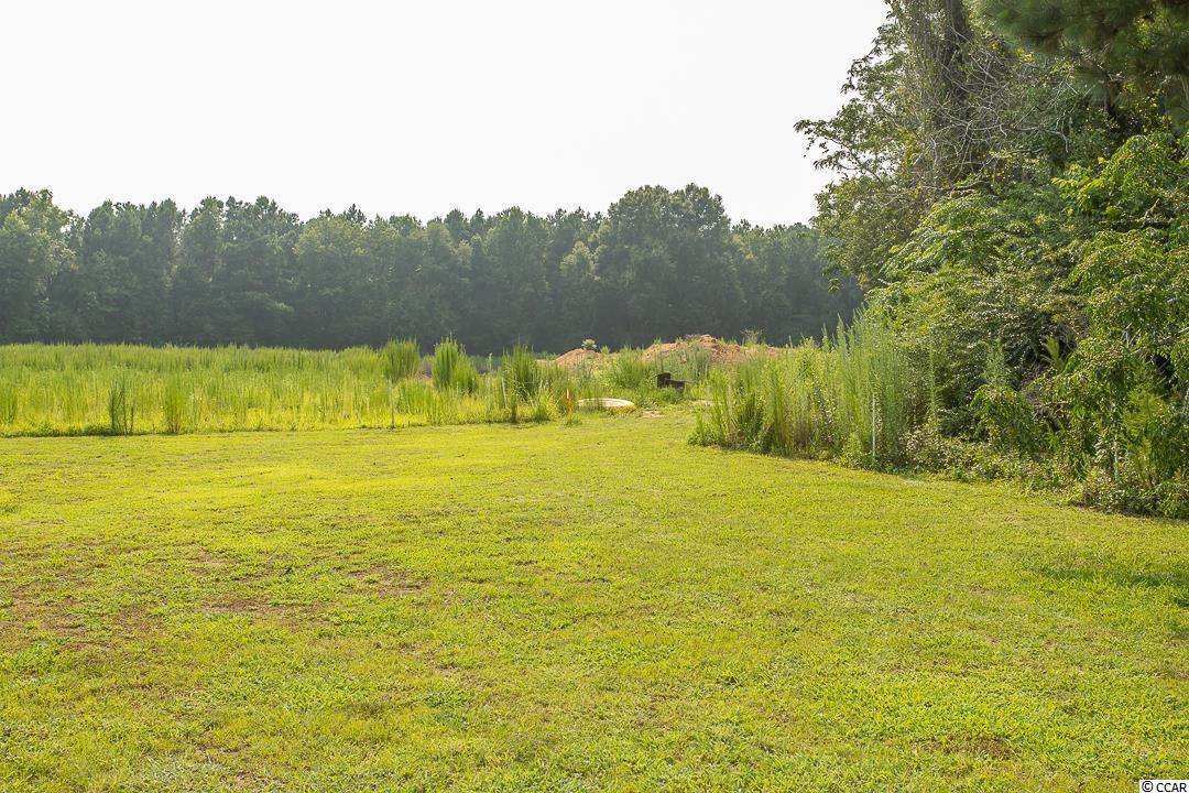 5566 Long Branch Swamp Road Nichols, SC 29581 - Photo 7 of 28 Gallery Image 7