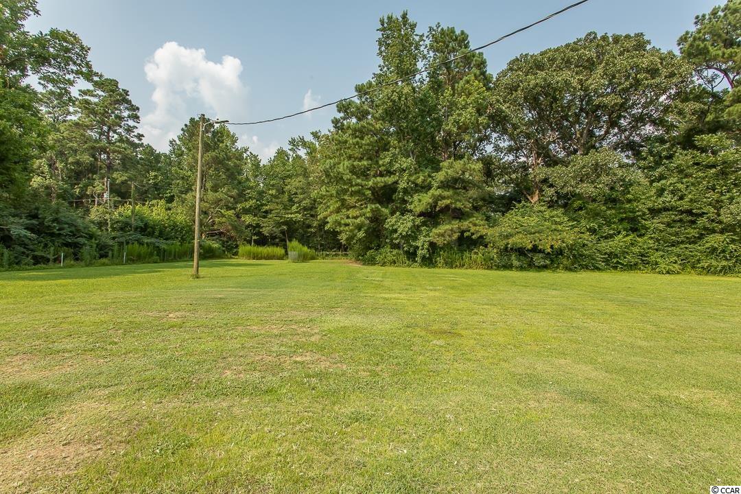 5566 Long Branch Swamp Road Nichols, SC 29581 - Photo 8 of 28 Gallery Image 8