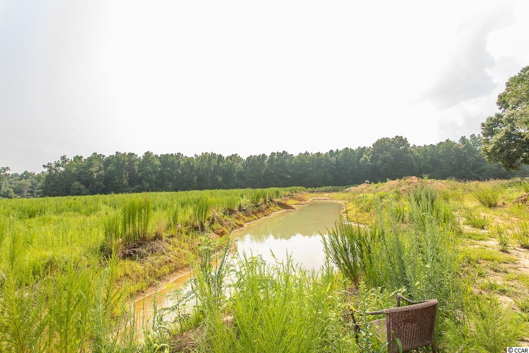 5566 Long Branch Swamp Road Nichols, SC 29581 - Photo 9 of 28 Gallery Image 9