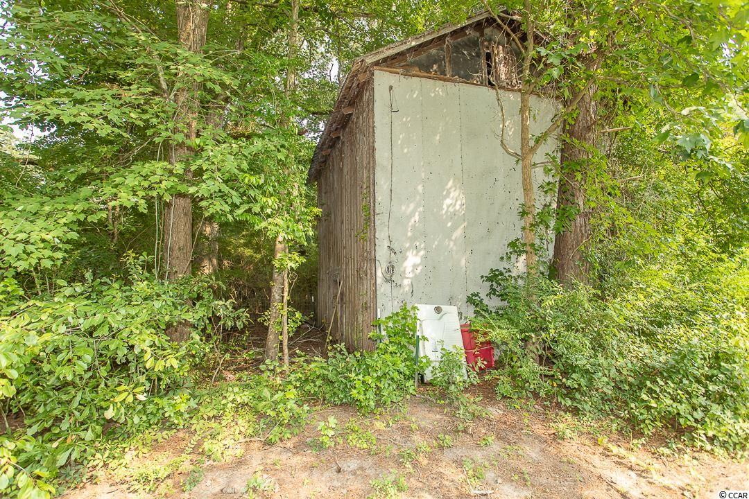 5566 Long Branch Swamp Road Nichols, SC 29581 - Photo 10 of 28 Gallery Image 10