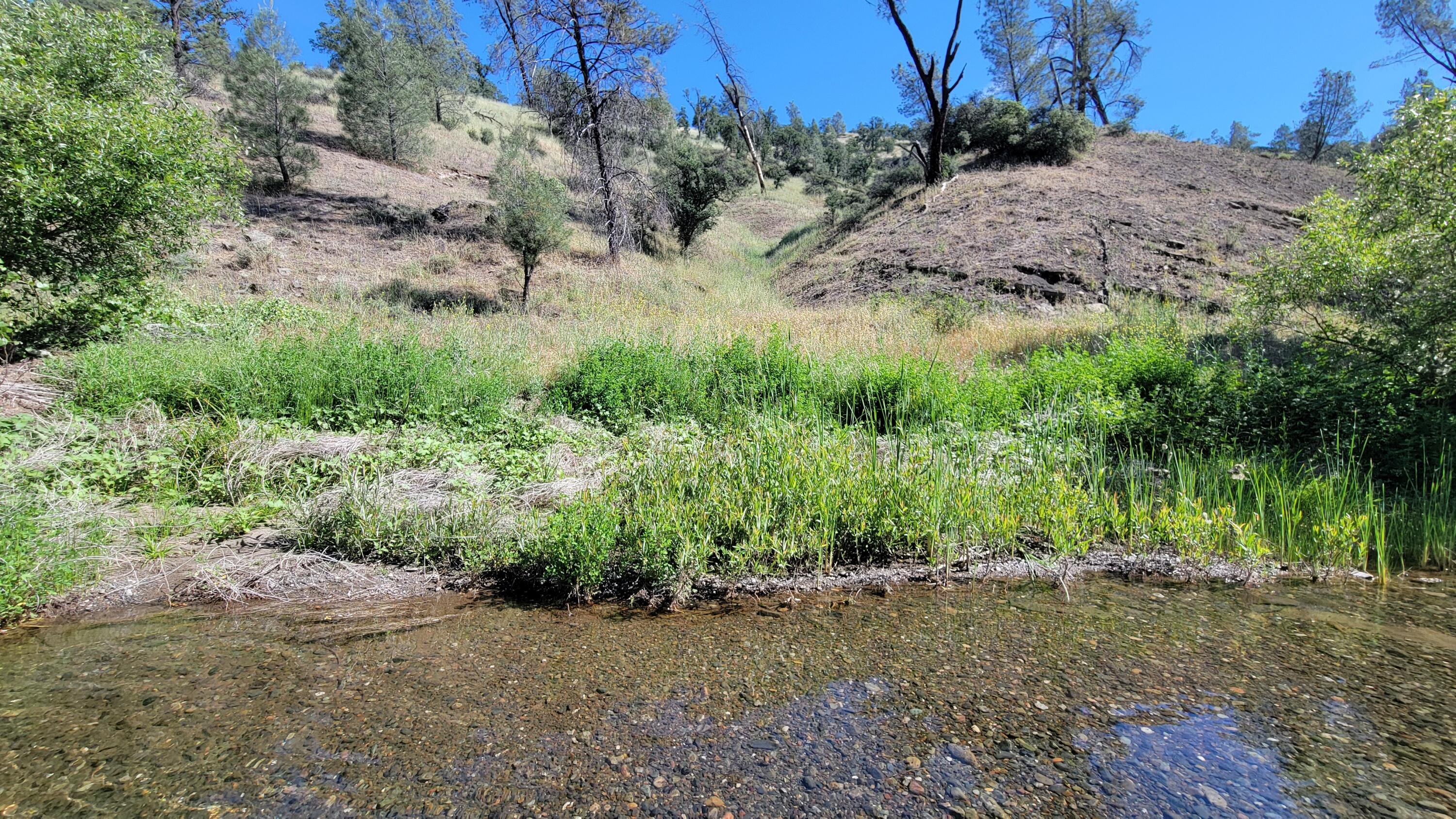 Lot 229 Yolla Bolly Road Igo, CA 96047 - Photo 27 of 66 20260510_101316