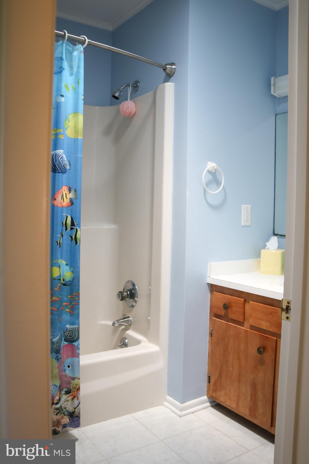 533 Harbor Road Ocean View, DE 19970 - Photo 19 of 31 Hall bath with tub