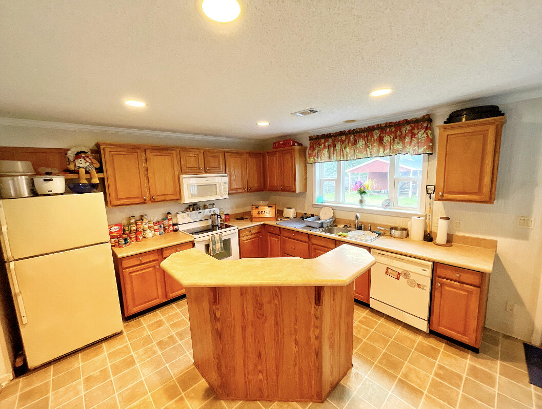 6247 Ballpark Road Hollywood, SC 29449 - Photo 15 of 21 IMG-4662