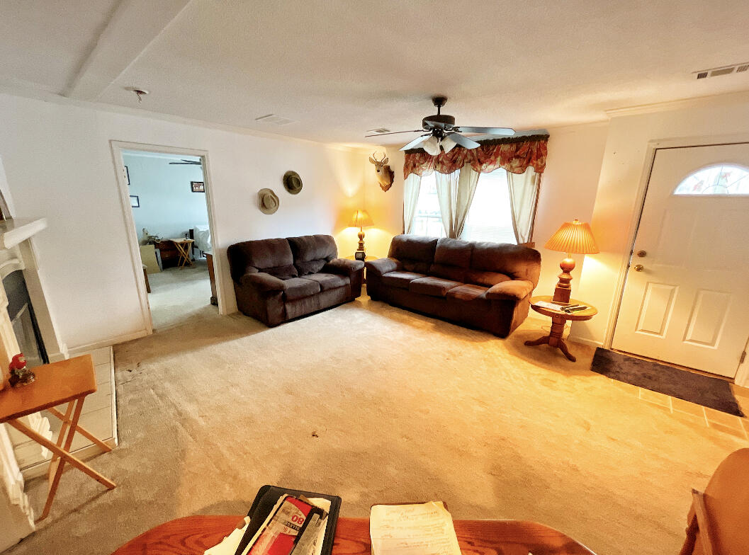 6247 Ballpark Road Hollywood, SC 29449 - Photo 7 of 21 IMG-4661