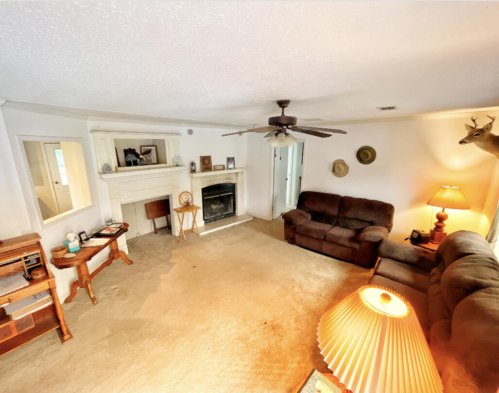 6247 Ballpark Road Hollywood, SC 29449 - Photo 8 of 21 IMG-4653