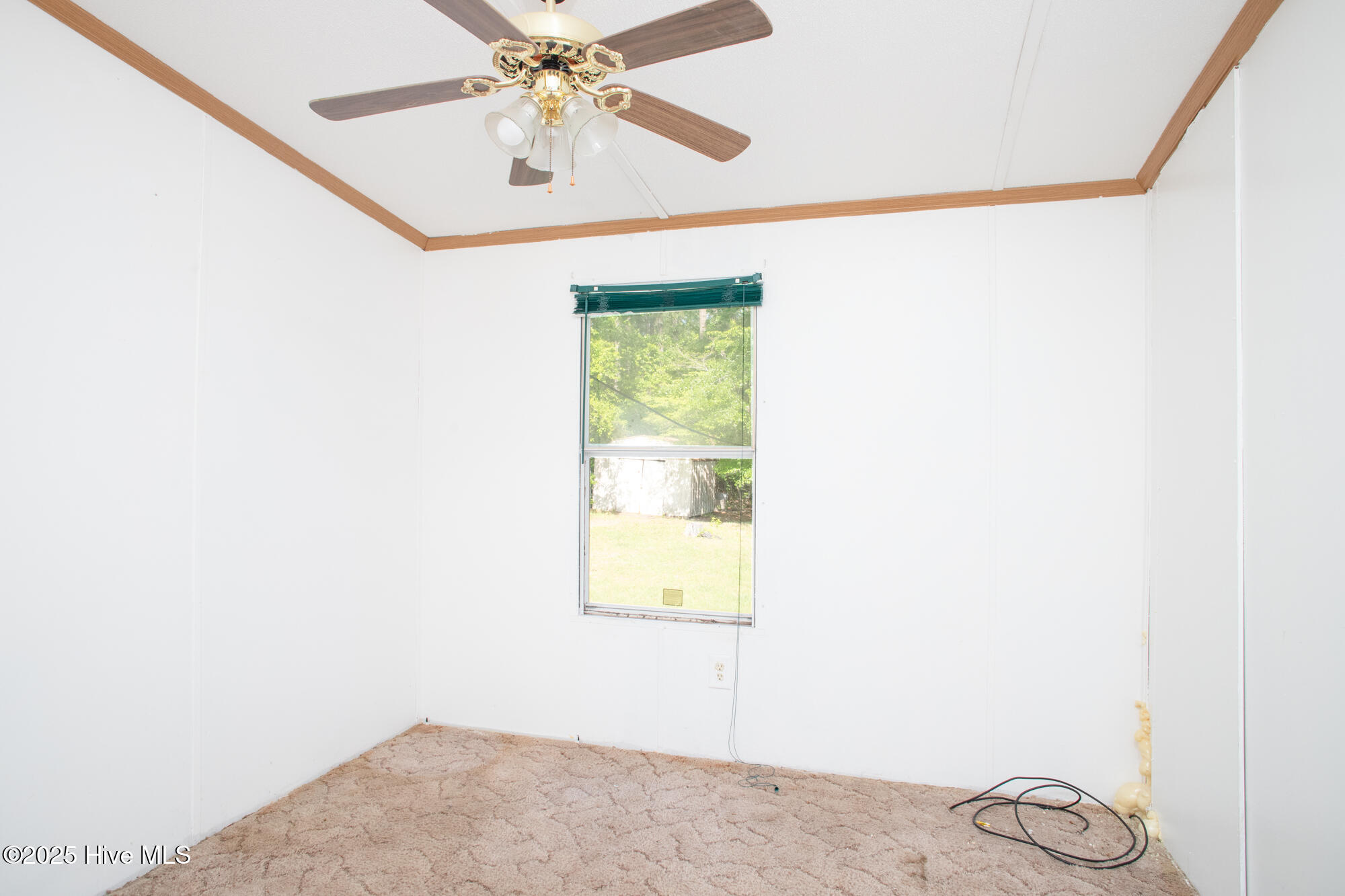 165 High School Road Vanceboro, NC 28586 - Photo 13 of 13 Third Bedroom