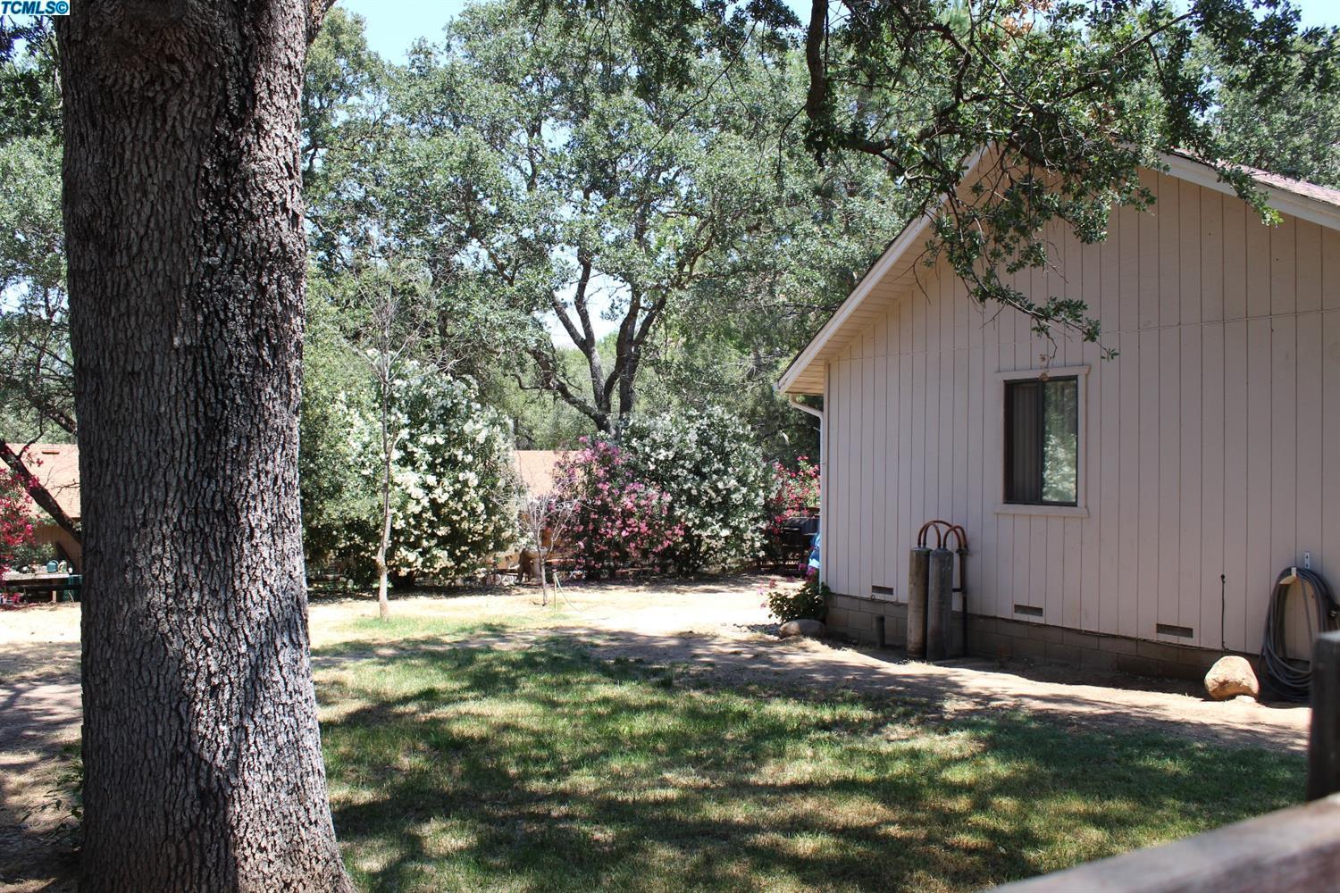 41046 Meadow Drive Three Rivers, CA 93271 - Photo 16 of 17 Additional Photo