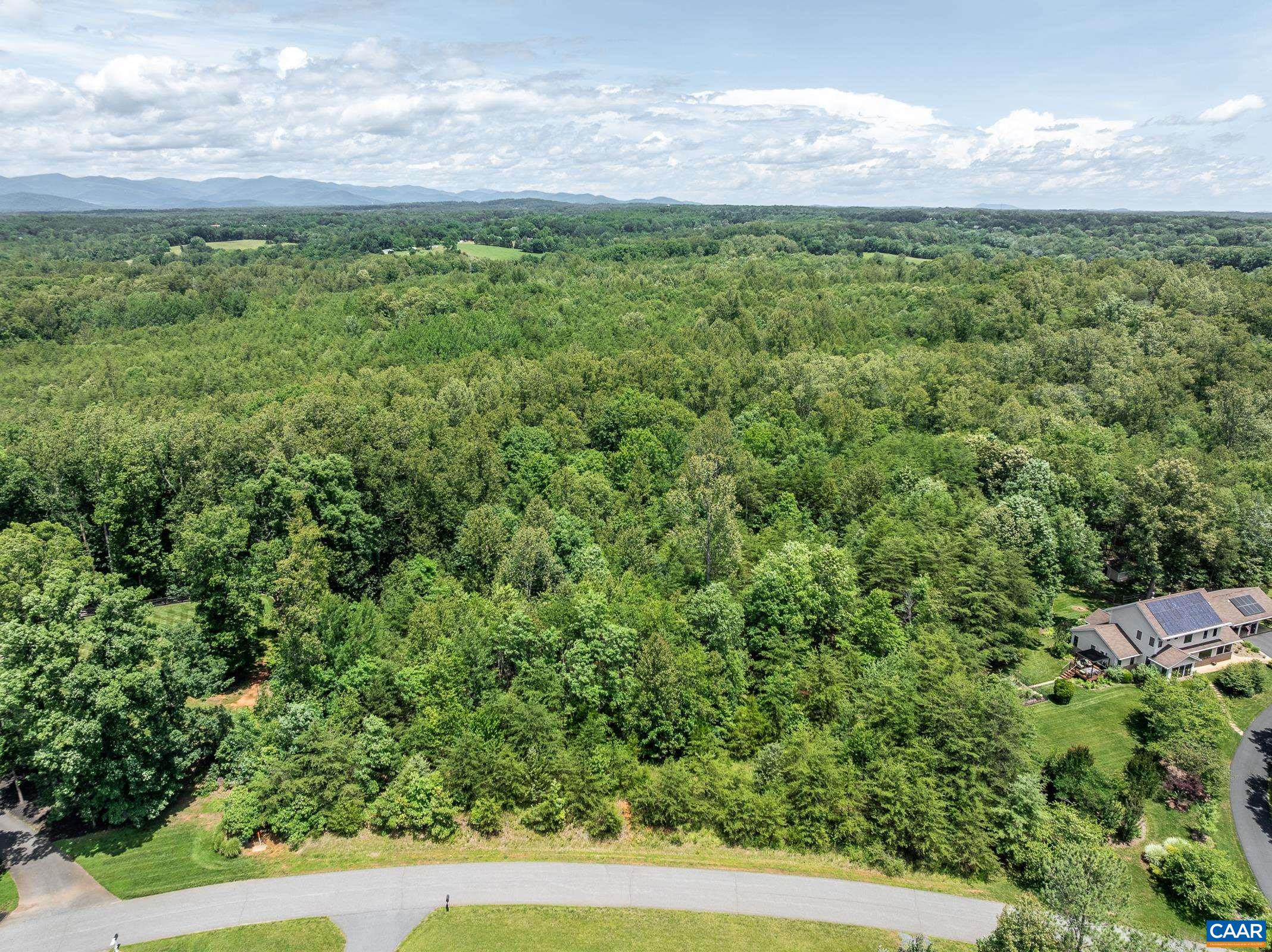 Lot 2 Millhouse Drive Ruckersville, VA 22968 - Photo 2 of 11